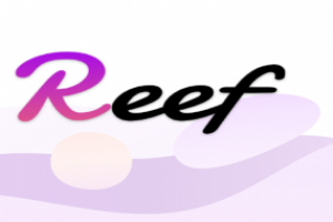 基于波卡的跨链DeFi操作系统Reef Finance完成390万美元种子轮融资
