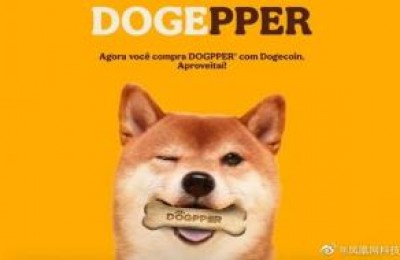 汉堡王巴西宣布 接受用狗狗币在旗下宠物零食品牌购物