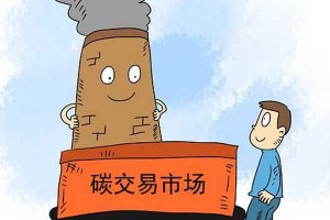 白皮书:中国建成全球规模最大的碳市场