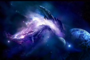 震撼来袭 | 鲸幻数字藏品限量首发,内含超多福利!