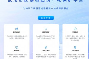 武汉市区块链知识产权保护平台上线